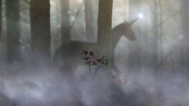 What Are Our Imaginations For?