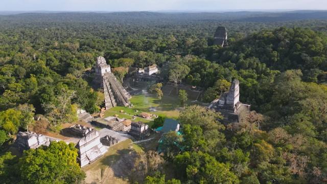 発見つづく！マヤ文明最大級の都市