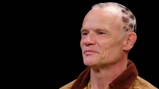 Flea Is Red Hot While Eating Spicy Wings