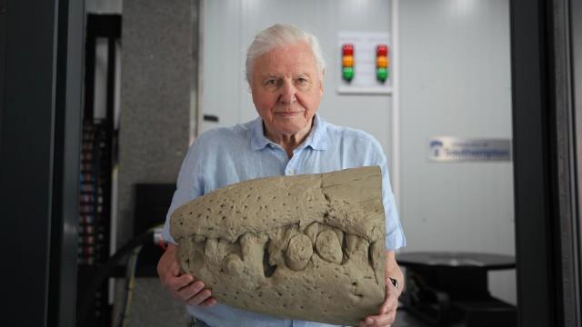 Attenborough and the Jurassic Sea Monster