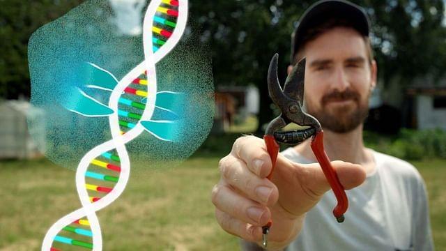 Could We Programme Evolution?