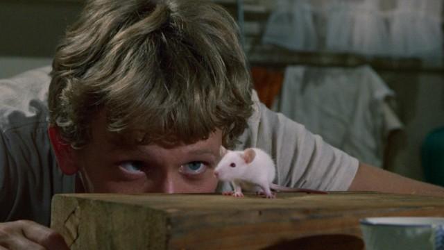 Willard (1971)