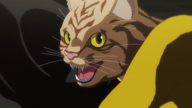 Everything Becomes Cat