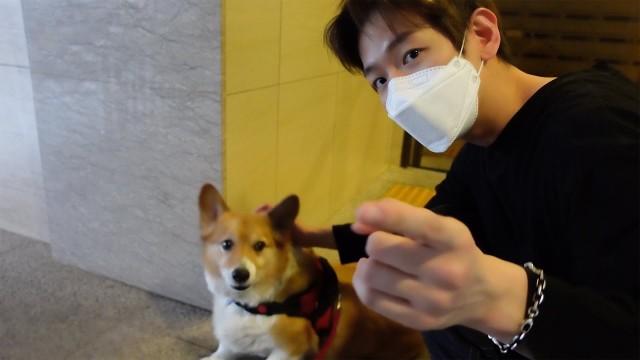 백현이의 브이로그 (몽룡이/몽슬라/몽룡이산책/귀여운궁둥이)