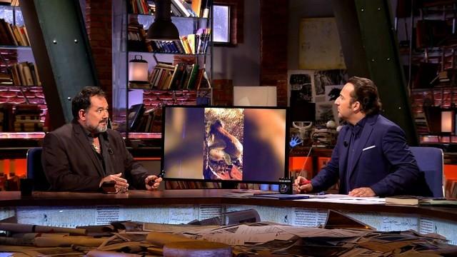 Los animales y su luto por la pérdida