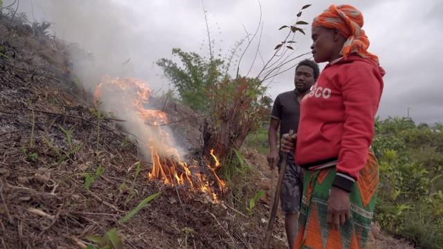 Madagascar : terre de feu