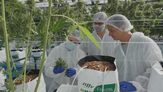 Engenheiro Agrónomo & Enólogo