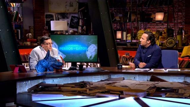 Los secretos de la mente animal