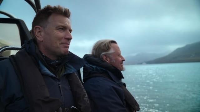 Ice, Snow and Bears