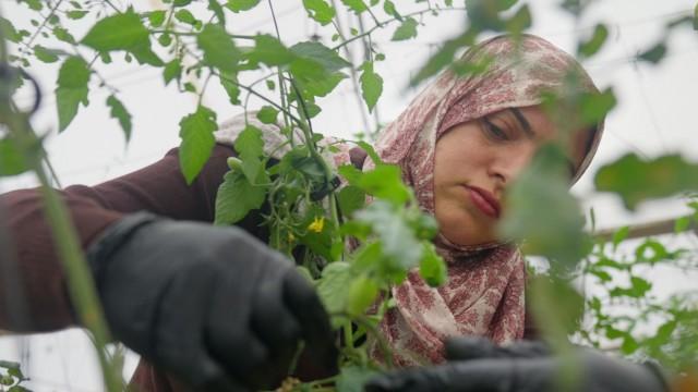 Ein palästinensisches Dorf kämpft um seine Zukunft