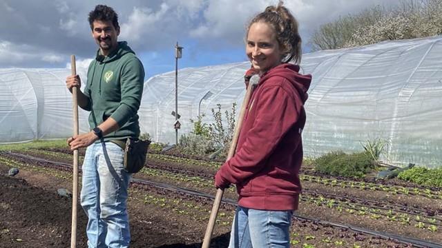 Der Acker wird zur Goldgrube - Reiche Ernte auf minimaler Fläche