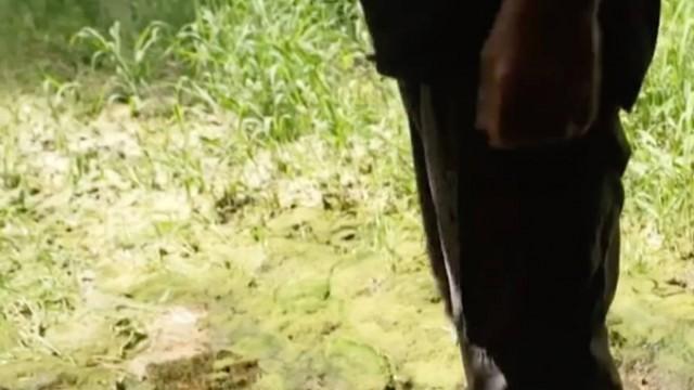 Wassermangel in Frankreich - Landwirtschaft in Gefahr?