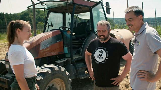 Europe's Beer in Danger