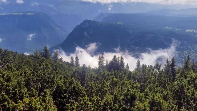 Urwald in Gefahr - Ranger gegen Raubbau und Wilderer