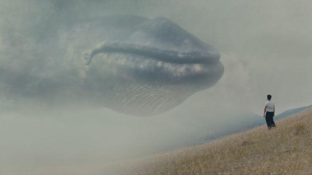 The Whale