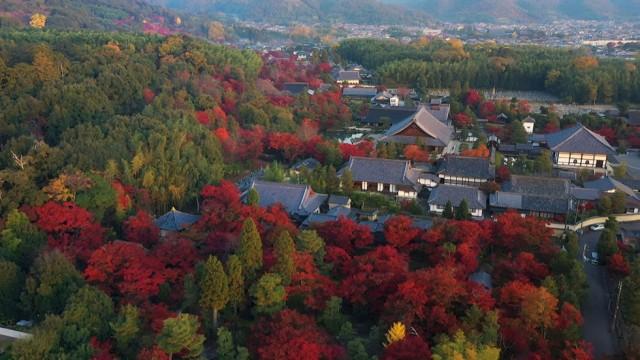 紅葉の絶景をめぐる 日本の世界遺産