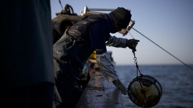 Yeonpyeong: Between Two Koreas