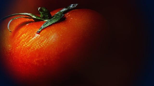 What's on Your Supermarket Shelves? The Dark Side of the Tomato Trade