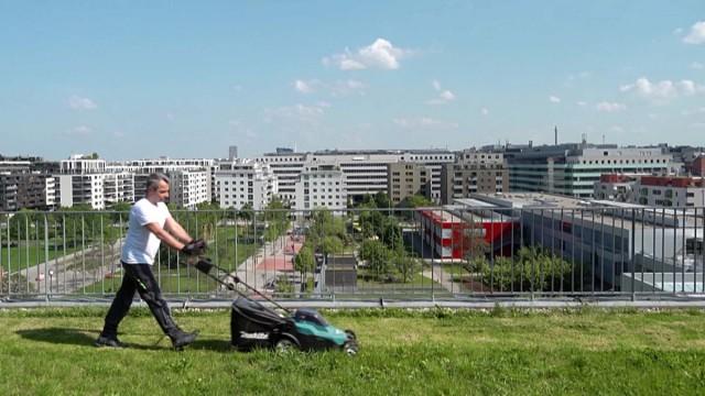 Living Together - Life in a Large Community