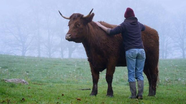 Tiere im Fokus - In Vollzeit für das Tierwohl?