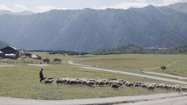 Georgiens letzte Pferdemänner