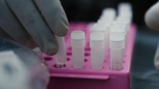 Preventing Future Pandemics