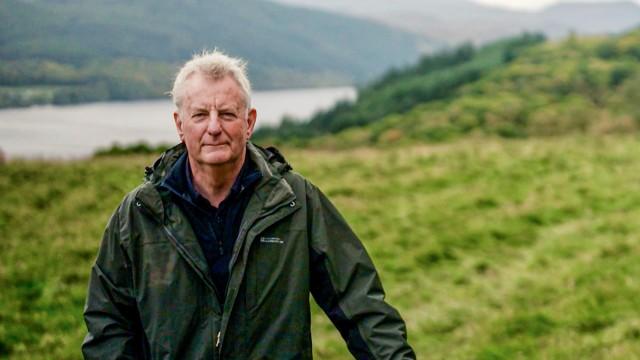 Rückkehr der Wildnis in Schottlands Highlands