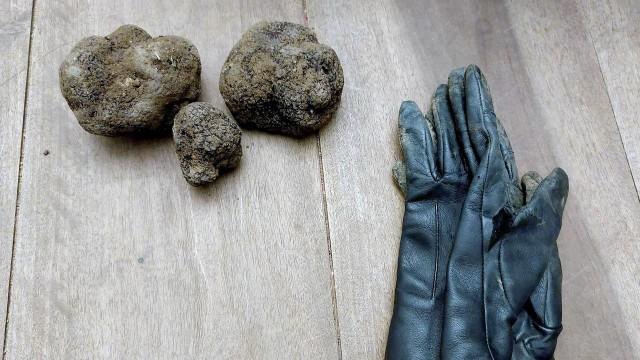 Trüffelland Deutschland