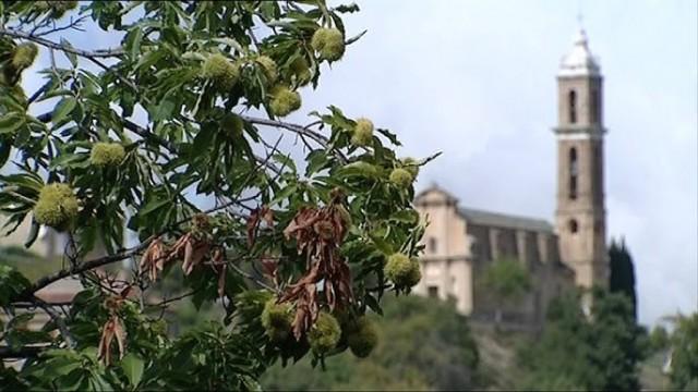 A Smart Village in Corsica