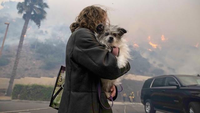 Inferno: LA On Fire