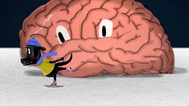 What Makes Us Depressed?