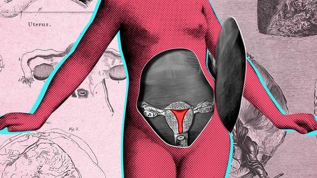 Are We Wasting Period Blood?