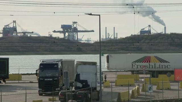 Niederlande: Die Stickstoffkrise