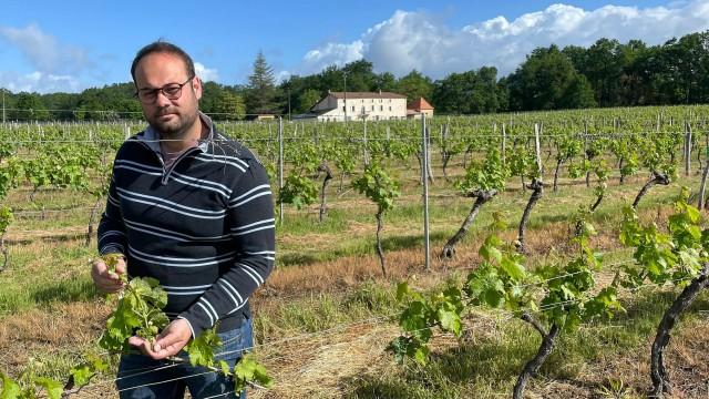 Bordeaux-Winzer in Not