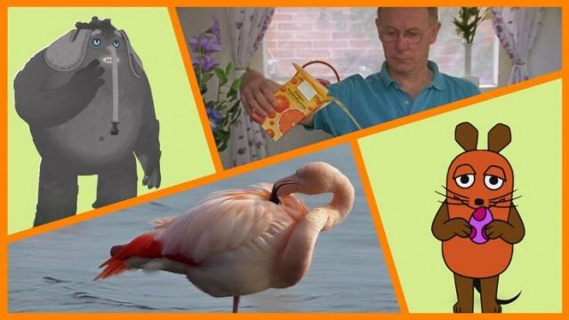 Flamingoschnabel|Trudes Tier: Ostern|Linker Fuß|Shaun das Schaf: Zebra-Enten