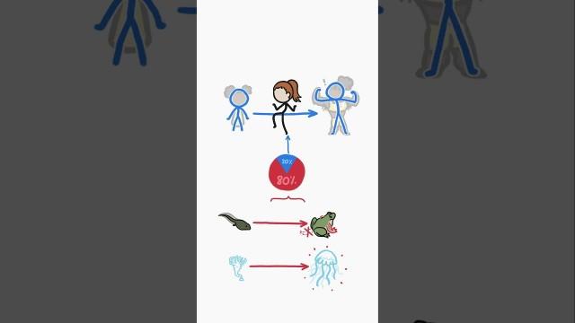 Why do so many animals change their body type?