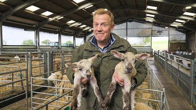 Lambing Special