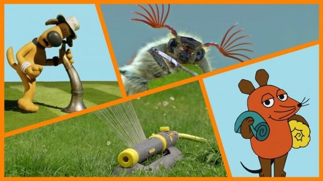 Maikäfer – Wofür braucht er seine Fühler?|Charlie und Lola: Mein Buch|Rasensprenger|Shaun das Schaf: