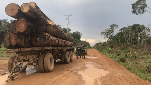 Brésil : l’Amazonie rongée par l’impunité