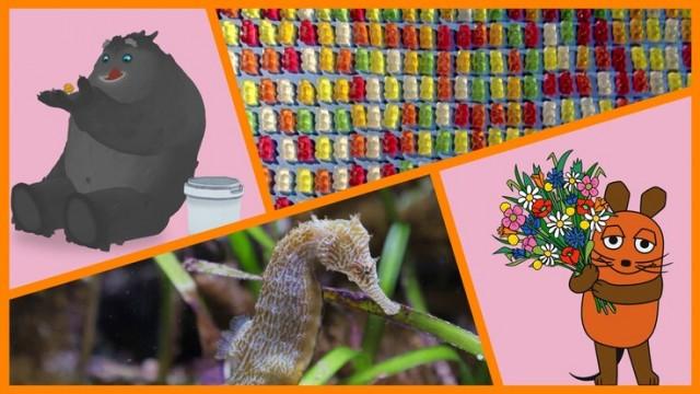 Seepferdchen|Trudes Tier: Fahrstuhl|Gummibärchen|Shaun das Schaf: Gans schön frech