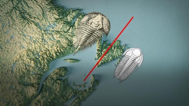 There's An Invisible Ocean Between These Fossils