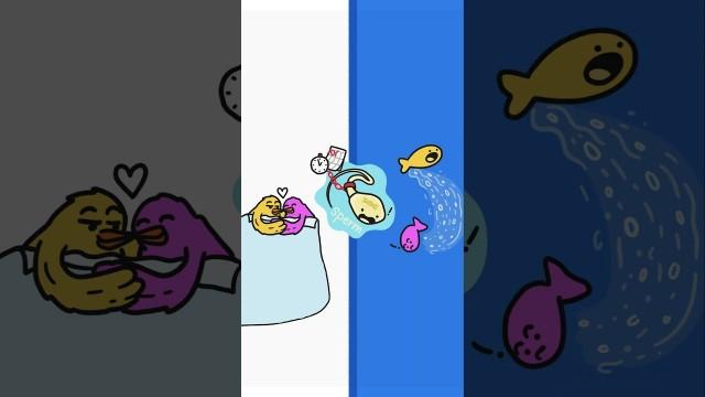 The Difference between Pollen and Sperm