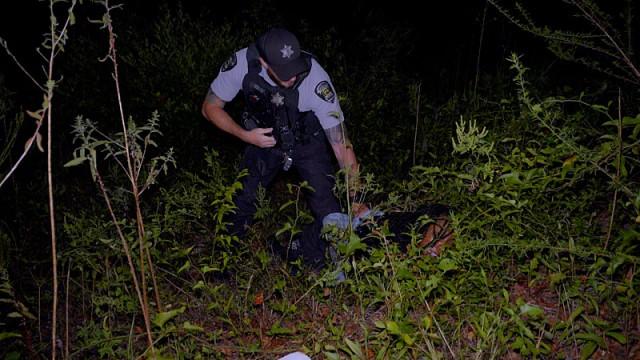 Do You Want to Pick Up a Felony?