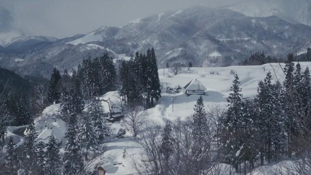 ロンリーカメラ