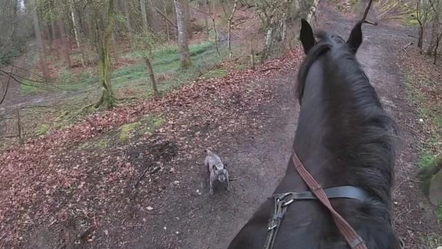 Get Your Junk Outta Here!