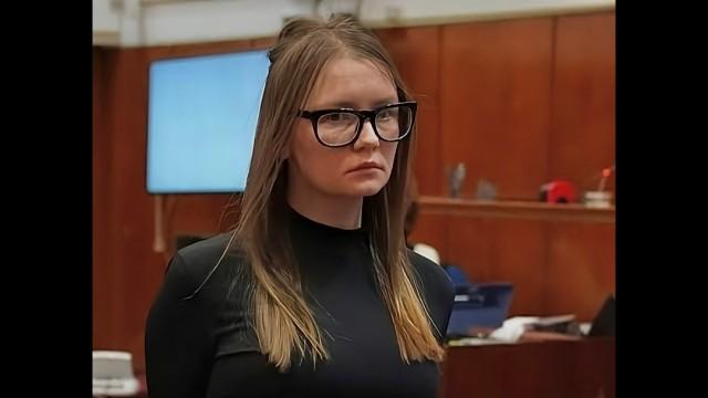 ANNA DELVEY (TRUE FASHION CRIME)
