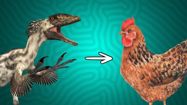 The Dinosaur Dilemma That Darwin Couldn’t Solve