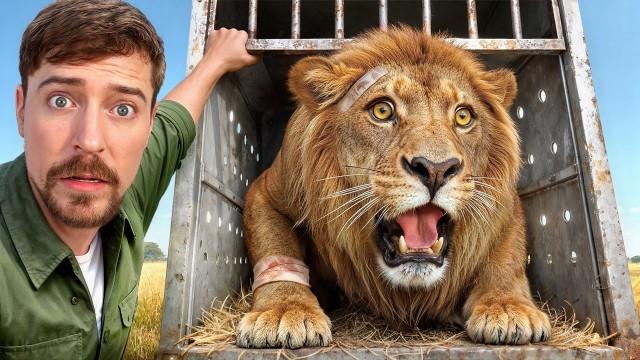 I Saved 1,000 Animals From Dying