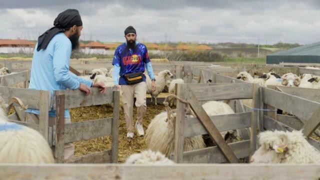 It Feels Like Falling the Whole Time