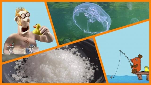 Wie frisst eine Qualle?|Rico und Oskar: Die perfekte Arschbombe|Salz – Wie kommt es aus dem Meer?|Shaun das Schaf: Badetag